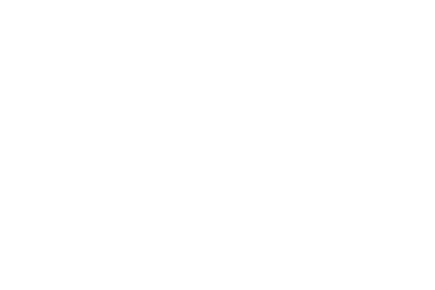 CHONK™